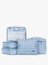 FRENCH BLUE GINGHAM