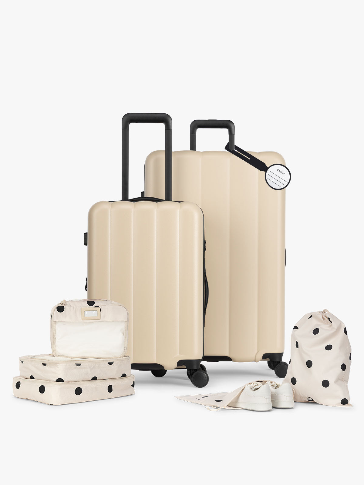 Evry Starter Bundle